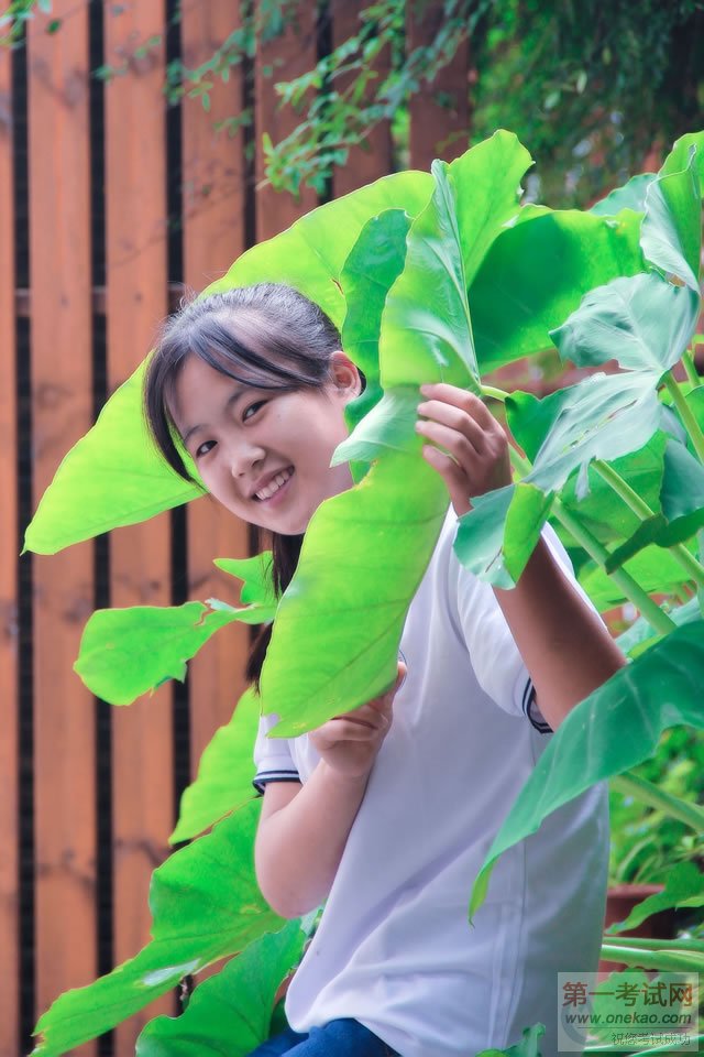 õң΢ЦѰ롣˵Цˣ̫