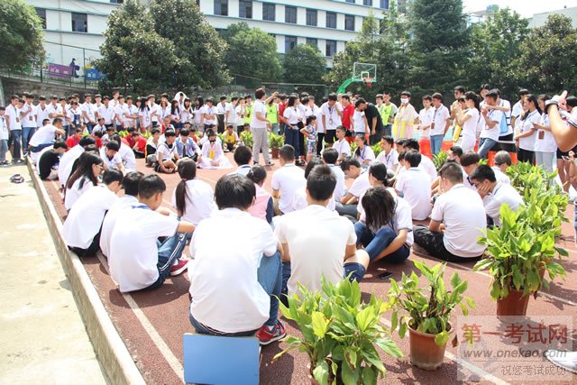 发呆大赛总动员