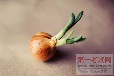 青岛新东方烹饪课堂