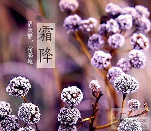 <a data-cke-saved-href=http://www.qdxdf.com href=http://www.qdxdf.com _cke_saved_href=http://www.qdxdf.com _cke_saved_href=http://www.qdxdf.com _cke_saved_href=http://www.qdxdf.com _cke_saved_href=http://www.qdxdf.com target=_blank class=infotextkey>青岛新东方烹饪学校</a>