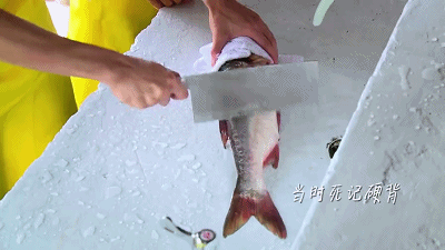 青岛新东方鹿晗