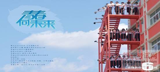 KT板覆亮膜背胶80X60cmC-正面